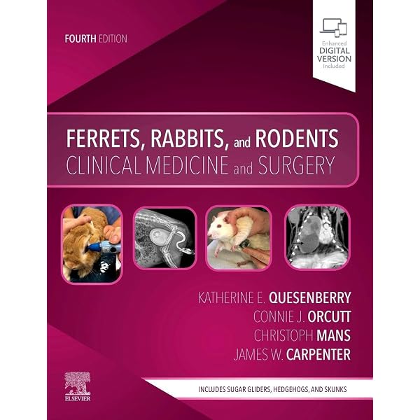 Buy Mader's Reptile and Amphibian Medicine and Surgery Book Online